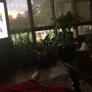 Meet your Posher, Kris